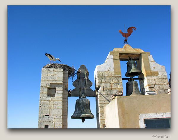 Nesting Storks on a Church Tower, Faro, Portugal - click to enlarge image