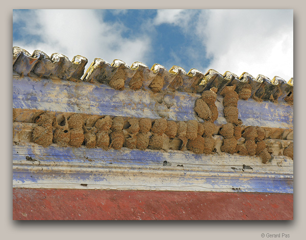 Swallow Nests, Alcantrilha, Algarve, Portugal - click to enlarge image