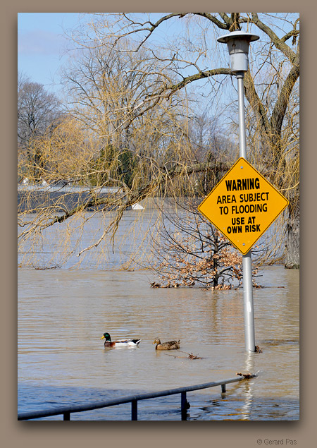 Spring Floods, Harris Park, Thames River - click to enlarge image