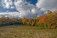 Medway Valley Heritage Forest - click to enlarge