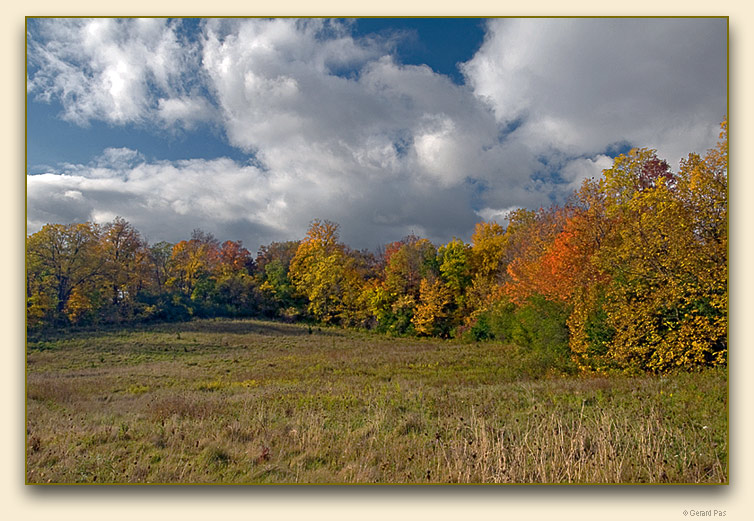 Meadow on the edge of the Medway Valley Heritage Forest - click to enlarge image