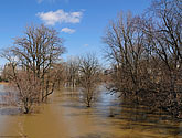 Spring Floods, Thames River, Downtown London - click to enlarge