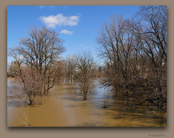 Spring Floods, Thames River, Downtown London - click to enlarge image