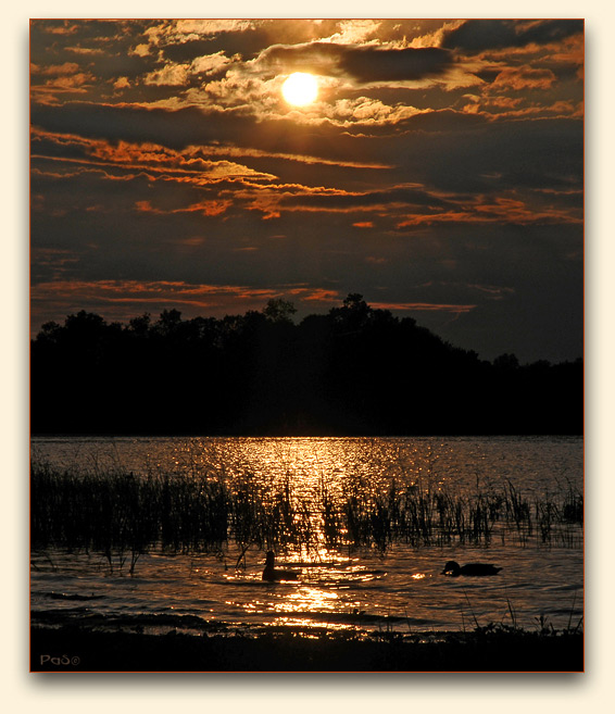 Sunset on the Ottawa River - click to enlarge image