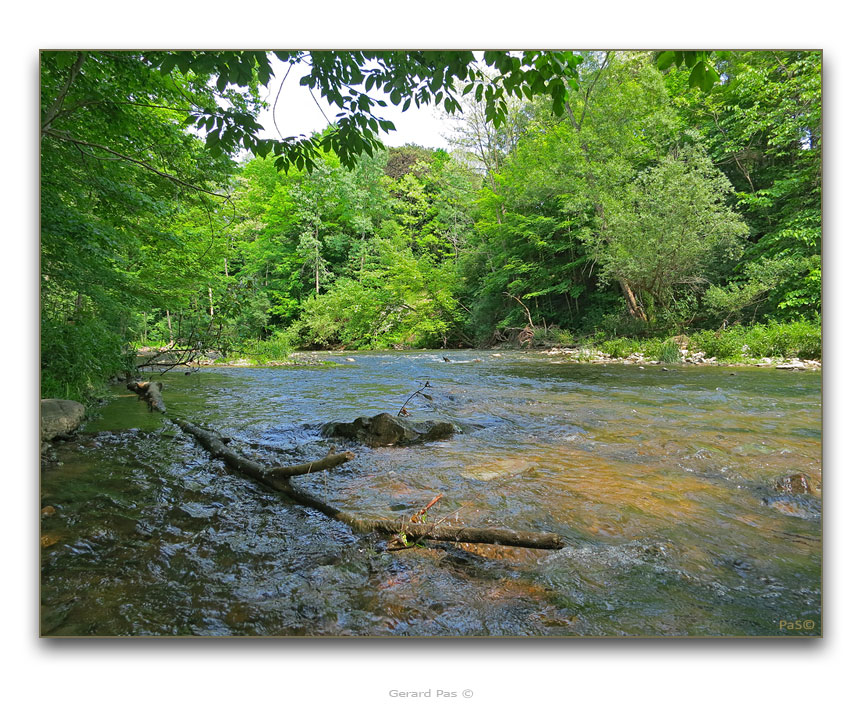 The Medway Creek - click to enlarge image