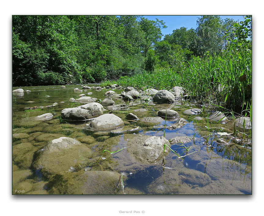 The Medway Creek - click to enlarge image