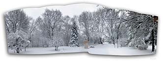our gardens after a winter storm - click to enlarge