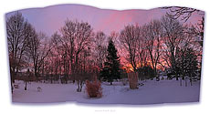 our winter gardens at sunrise - click to enlarge